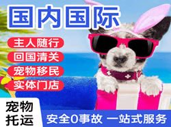 贡嘎航空快运国际宠物托运 【国